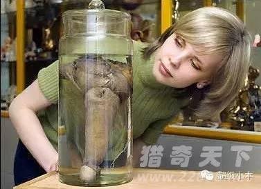 命根子的介绍