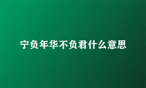 宁负年华不负君什么意思