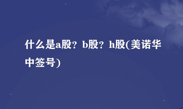 什么是a股？b股？h股(美诺华中签号)
