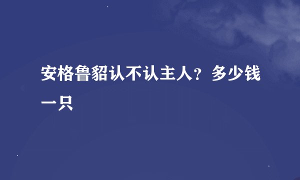 安格鲁貂认不认主人？多少钱一只