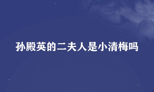 孙殿英的二夫人是小清梅吗
