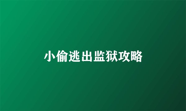 小偷逃出监狱攻略