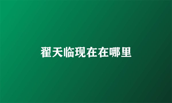 翟天临现在在哪里