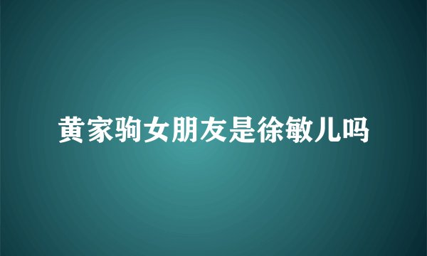 黄家驹女朋友是徐敏儿吗