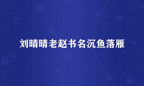 刘晴晴老赵书名沉鱼落雁