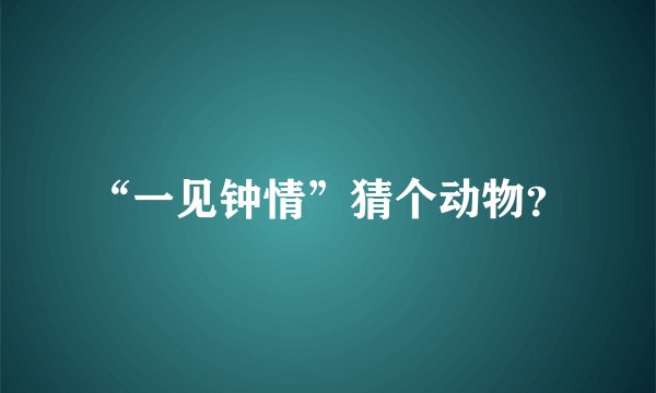 “一见钟情”猜个动物？