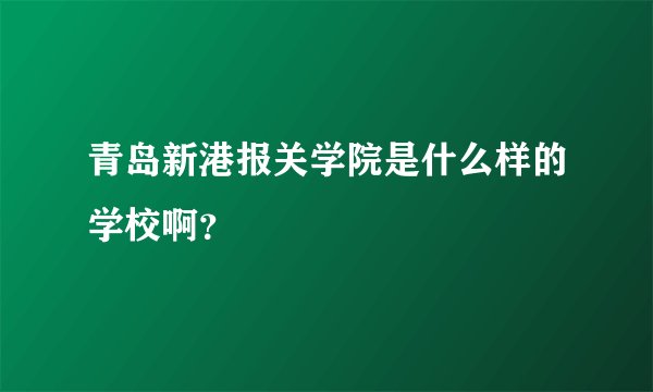 青岛新港报关学院是什么样的学校啊？