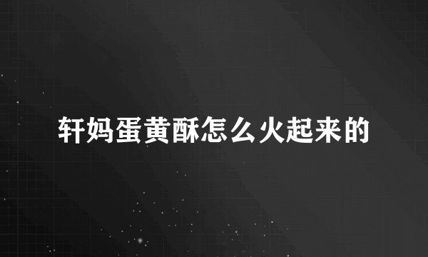 轩妈蛋黄酥怎么火起来的