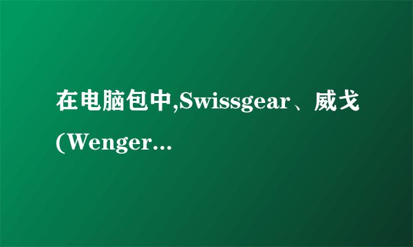 在电脑包中,Swissgear、威戈(Wenger)和维多利亚十字勋章这