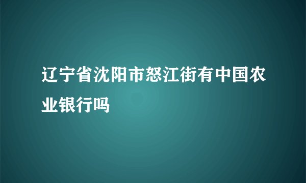 辽宁省沈阳市怒江街有中国农业银行吗