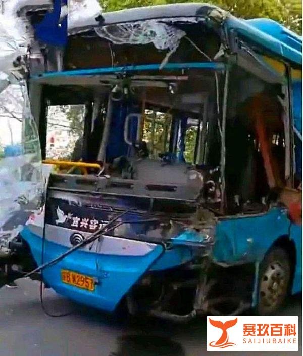 司机发病睡着导致6死9伤！宜兴市4·14道路交通事故调查公布