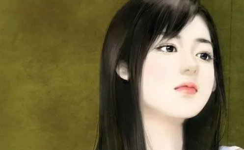 沈葭傅沛洲小说什么书名