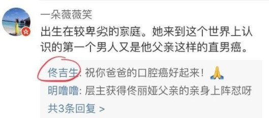 佟丽娅父亲怼网友的原因是什么？