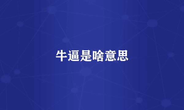 牛逼是啥意思