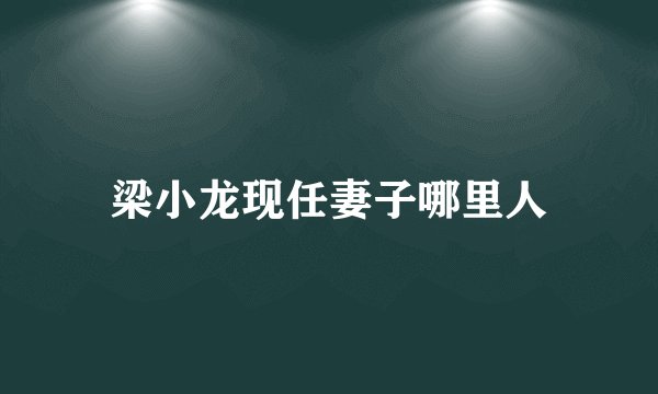 梁小龙现任妻子哪里人