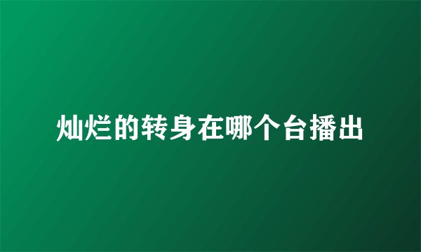 灿烂的转身在哪个台播出