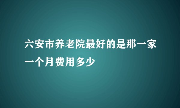 六安市养老院最好的是那一家一个月费用多少