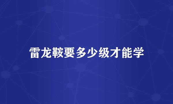 雷龙鞍要多少级才能学