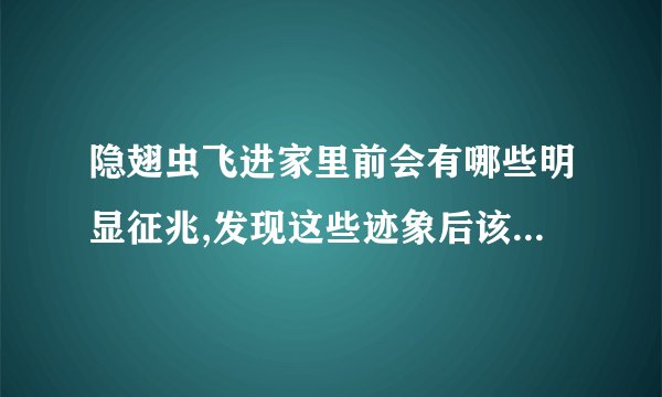 隐翅虫飞进家里前会有哪些明显征兆,发现这些迹象后该怎么提前做好防护?