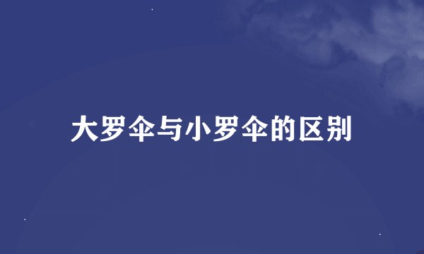 大罗伞与小罗伞的区别