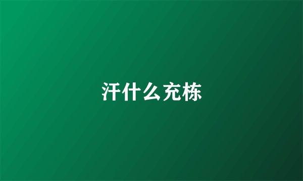 汗什么充栋