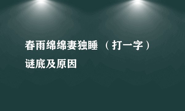 春雨绵绵妻独睡 （打一字）谜底及原因