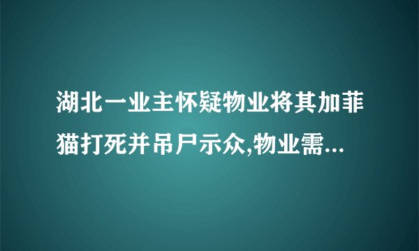 湖北一业主怀疑物业将其加菲猫打死并吊尸示众,物业需要承担哪些责任...