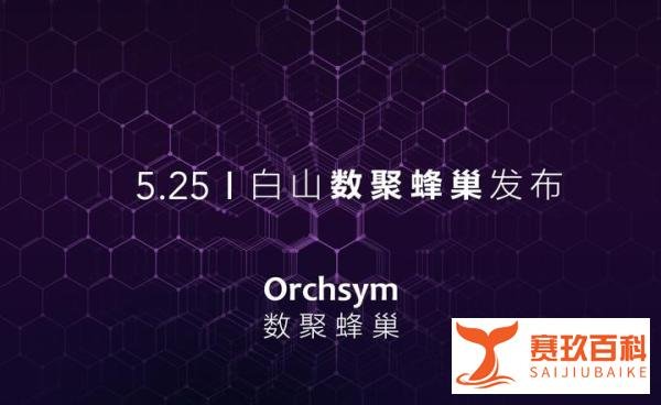 白山发布“数聚蜂巢Orchsym”，数字化转型开启轻时代
