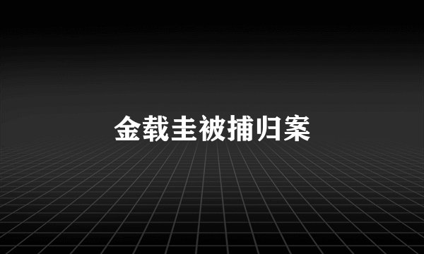 金载圭被捕归案