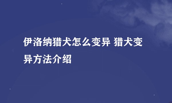 伊洛纳猎犬怎么变异 猎犬变异方法介绍