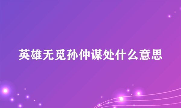 英雄无觅孙仲谋处什么意思