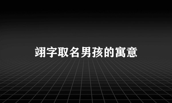 翊字取名男孩的寓意