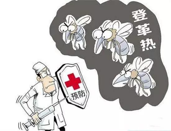 江苏句容出现1例登革热病例,如何预防登革热病毒?