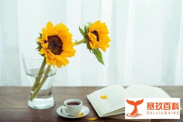 愿你芳华自在，愿你笑靥如花