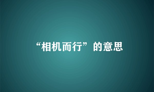 “相机而行”的意思