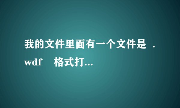 我的文件里面有一个文件是  .wdf    格式打开的  求高手帮忙！  急！！