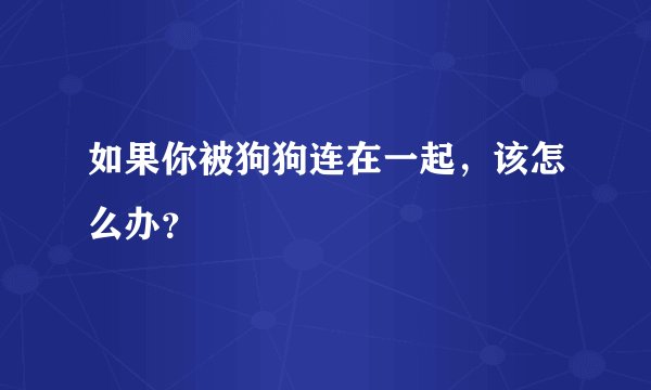 如果你被狗狗连在一起，该怎么办？
