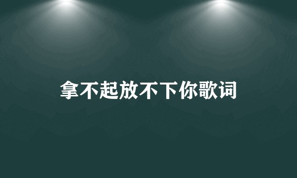 拿不起放不下你歌词