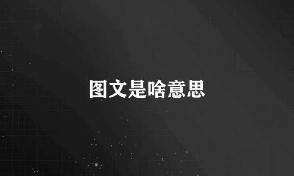 图文是啥意思