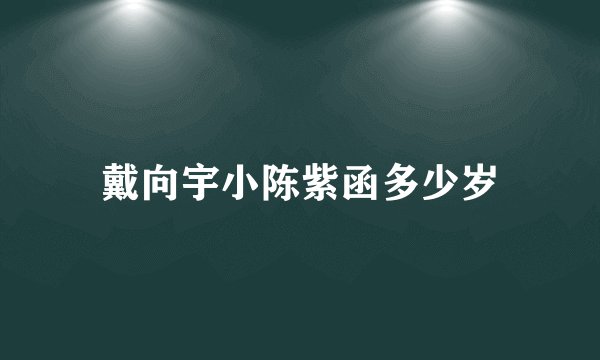 戴向宇小陈紫函多少岁