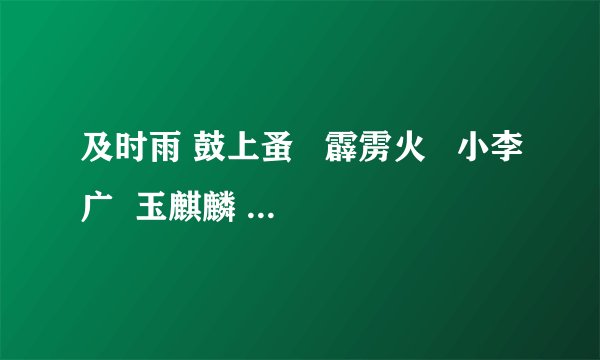 及时雨 鼓上蚤   霹雳火   小李广  玉麒麟  一丈青  母夜叉 各是谁？