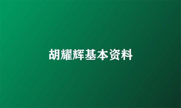 胡耀辉基本资料