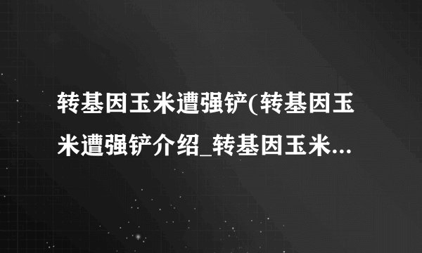 转基因玉米遭强铲(转基因玉米遭强铲介绍_转基因玉米遭强铲(转基因玉米遭强铲是什么