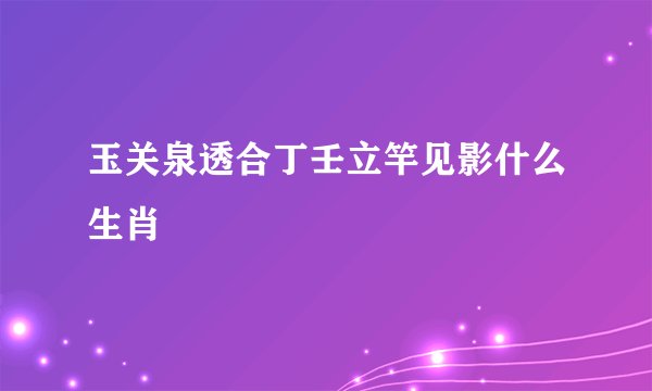 玉关泉透合丁壬立竿见影什么生肖