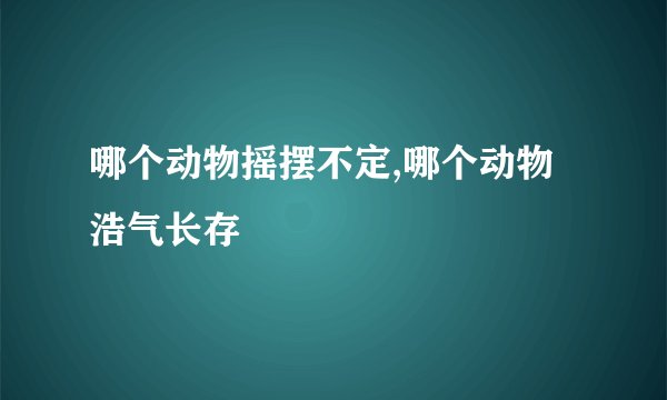 哪个动物摇摆不定,哪个动物浩气长存