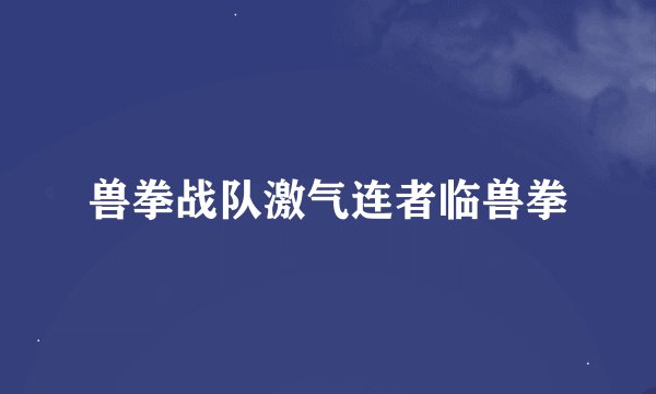 兽拳战队激气连者临兽拳