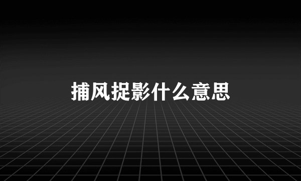 捕风捉影什么意思