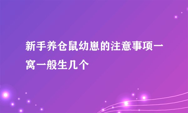新手养仓鼠幼崽的注意事项一窝一般生几个