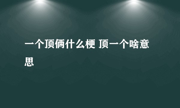 一个顶俩什么梗 顶一个啥意思