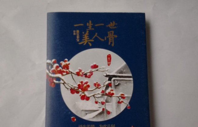 一生一世美人骨解析